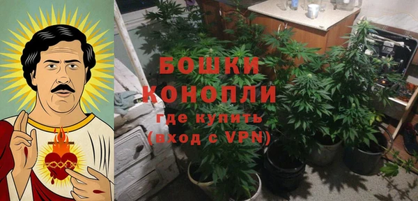 твердый Лиски