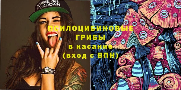 мдпв Абинск