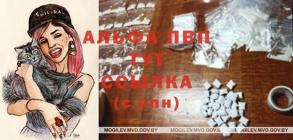 спиды Волосово