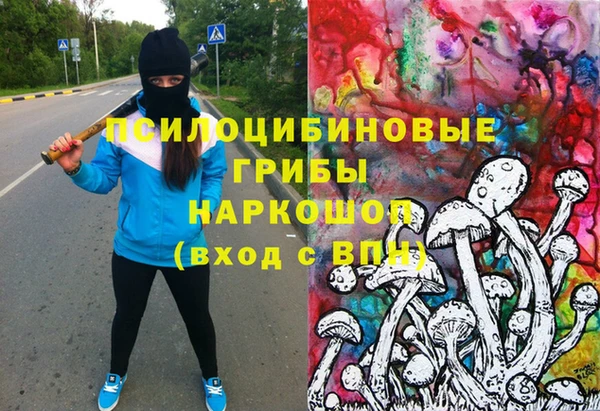 мдпв Абинск