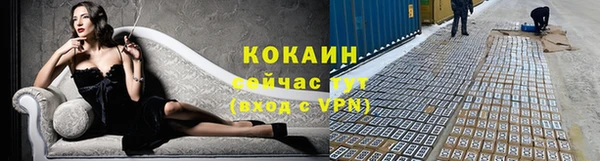 твердый Лиски
