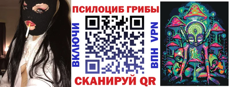 Галлюциногенные грибы Psilocybine cubensis Нестеровская